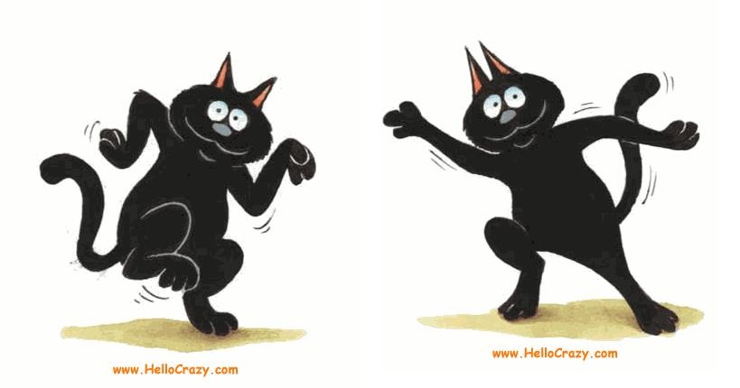 Deze afbeelding heeft een leeg alt-attribuut; de bestandsnaam is katten-dansen-1.jpg
